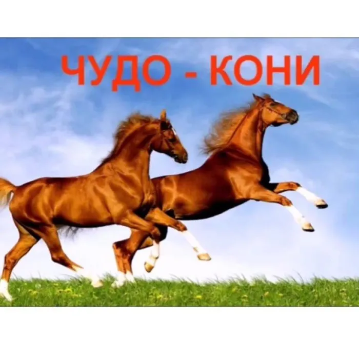 Чудо - кони